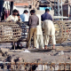 ‘I own Karachi, and can sell it!’