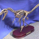 Taiwan Exhibits 65 Million-Year-Old Dinosaur Fossils.
