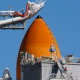 Canadian Trees to Be Studied as Part of Shuttle Mission