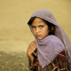 South Waziristan Operation Has Displaced 275,000
